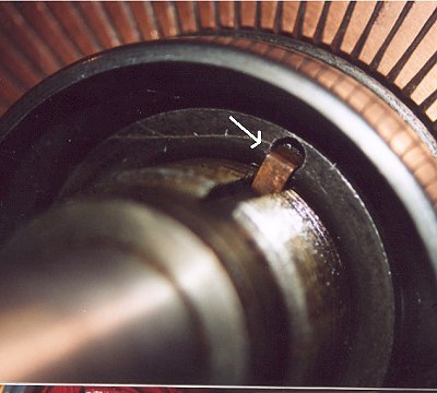 armnutkpr1.jpg
